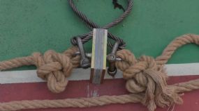 7.6噸！見證龍馬瓷磚膠+瓷磚背膠，雙膠合璧的實(shí)力！